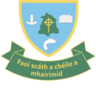Gairmscoil Mhic Diarmada