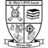St. Mary's Boys National School, Lucan