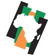 African Professional Network of Ireland (APNI)
